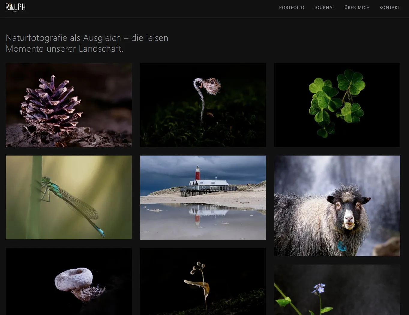 Von Vibe Coding zur eigenen Website: Wie ralph-photo.ch entstanden ist